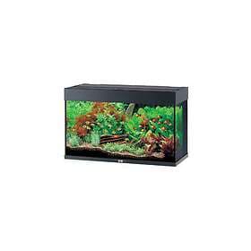 Juwel Aquarium Rio 125 LED