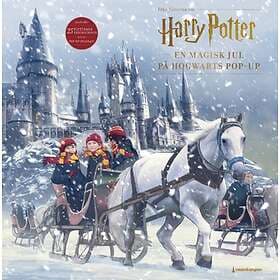 Harry Potter Pop Up Advent Calendar 2021
