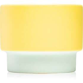 Paddywax Color Block Minty Verde Scented Candle