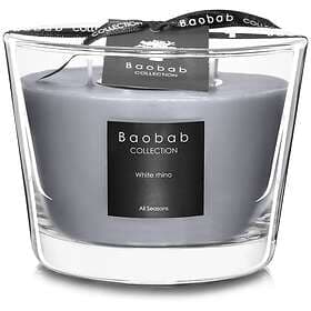 Baobab Collection All Seasons White Rhino Scented Candle 10cm