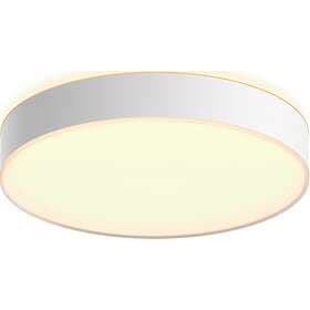 Philips Hue Enrave L