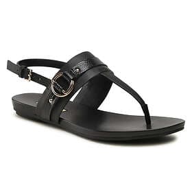 Aldo Pandra (Women's)