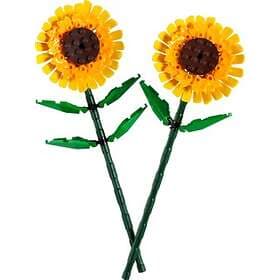 LEGO 40524 Sunflowers