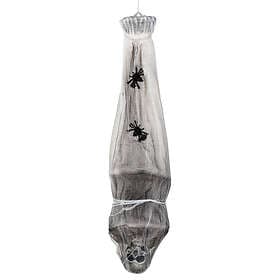 Hanging Skeleton in Spiderweb