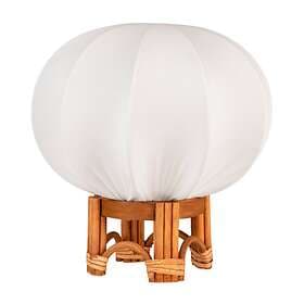 Globen Fiji 25