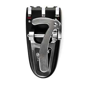 Gamechanger Audio Bigsby
