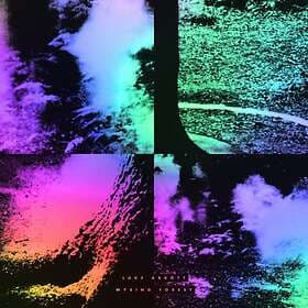 Abbott Luke: Wysing Forest (Vinyl)