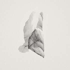 Jabu: Sleep Heavy CD