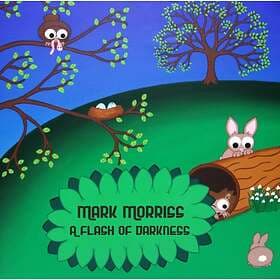 Morriss Mark: A Flash Of Darkness (Vinyl)