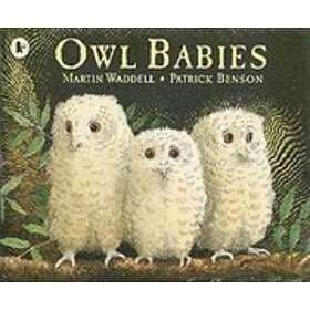 Owl Babies
