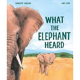 What The Elephant Heard