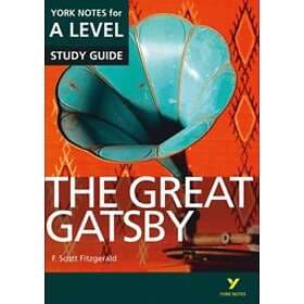 Great Gatsby: York Notes For A-level