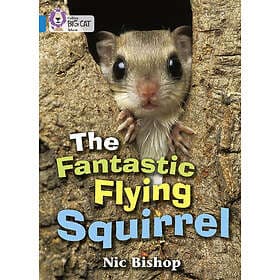 The Fantastic Flying Squirrel
