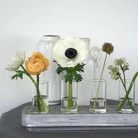 Born In Sweden Stumpastaken Glass Insert 4-pack