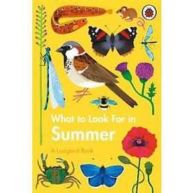 What To Look For In Summer