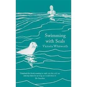 Swimming With Seals