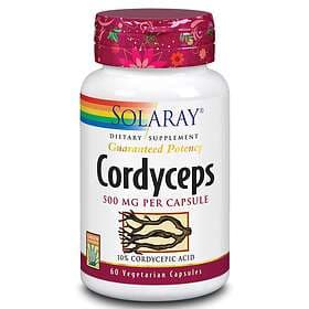 Solaray Cordyceps 500mg 60 Capsules