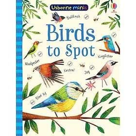 Birds To Spot