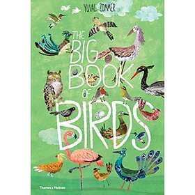 The Big Book Of Birds