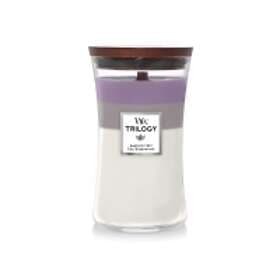 WoodWick Trilogy Amethyst Sky Medium Scented Candle