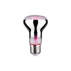 Paulmann LED-plantlampa E27 R63 6.5W