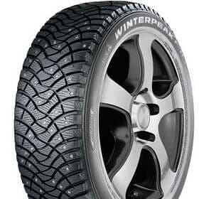 Falken Winterpeak F-Ice 1 275/45 R20 110T Dubbdäck