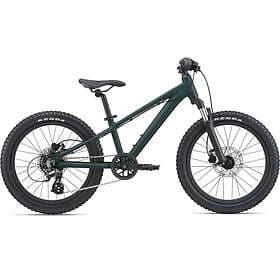 Giant STP 20