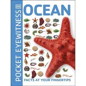 Ocean av DK