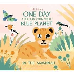 Ella Bailey One Day on Our Blue Planet ...In the Savannah av
