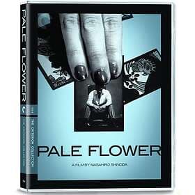 Pale Flower Criterion Collection Blu-Ray