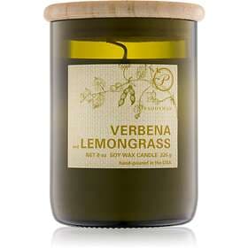 Paddywax Eco Green Verbena & Lemongrass Scented Candle 226g