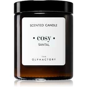 Ambientair Olphactory Santal Scented Candle Cosy 135g