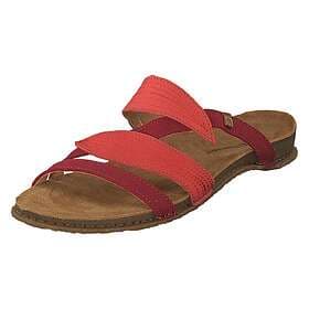El Naturalista N5812 (Women's)
