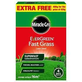 MiracleGro Evergreen Fast Grass Lawn Seed 16m² 480g