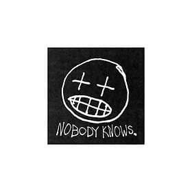 Willis Earl Beal Nobody Knows. CD