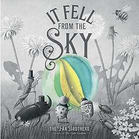 It Fell From The Sky