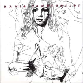 David Vandervelde Jacket/Murder In Michigan LP