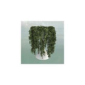 Errors Lease Of Life LP