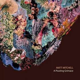 Matt Mitchell A Pouting Grimace CD