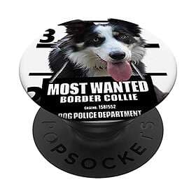 PopSockets Swappable PopGrip Border Collie Dog A