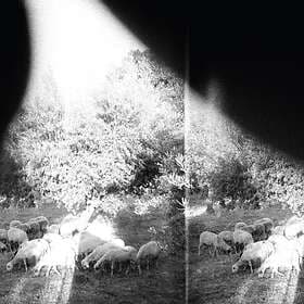 Godspeed You Black Emperor! Asunder, Sweet And Other Distress LP