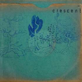 Resin Pockets CD