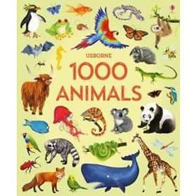 Jessica Greenwell: 1000 Animals