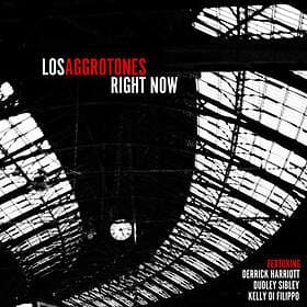 Los Aggrotones Now LP