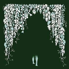 Hey Colossus Four Bibles LP