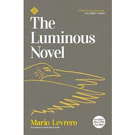 Mario Levrero: The Luminous Novel