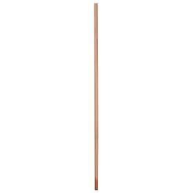 Amiaud Wooden Handle Lgth 150 F/ss Sleeve Brun 150 cm