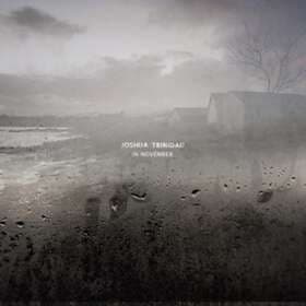 Joshua Trinidad In November LP