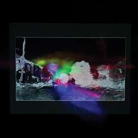 Jeremy Gara Passerine Finale LP