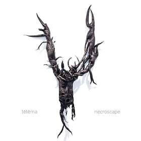 Tetema Necroscape LP
